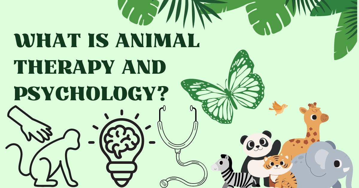 What is Animal Therapy and Psychology?