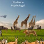 What is Animal Studies in Psychology?