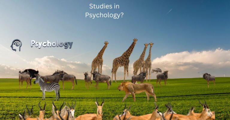 What is Animal Studies in Psychology?