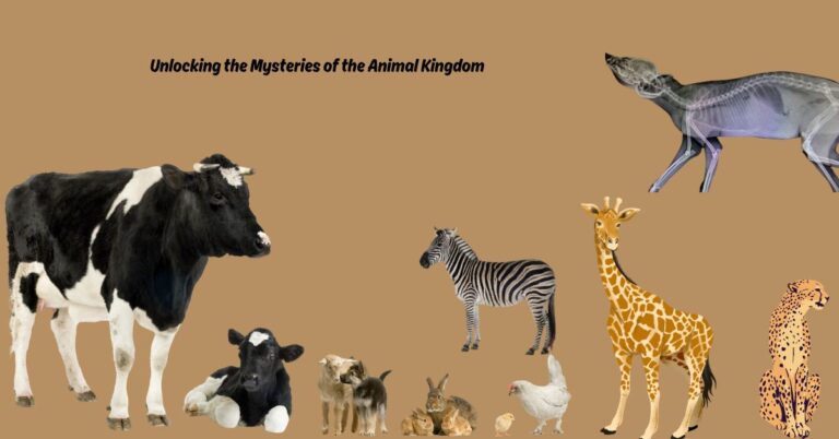 Unlocking the Mysteries of the Animal Kingdom