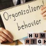 What are the 4 Sorts of Human Behavior?