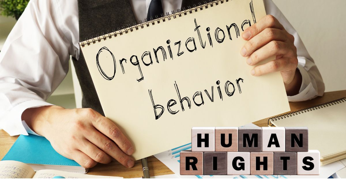 What are the 4 Sorts of Human Behavior?