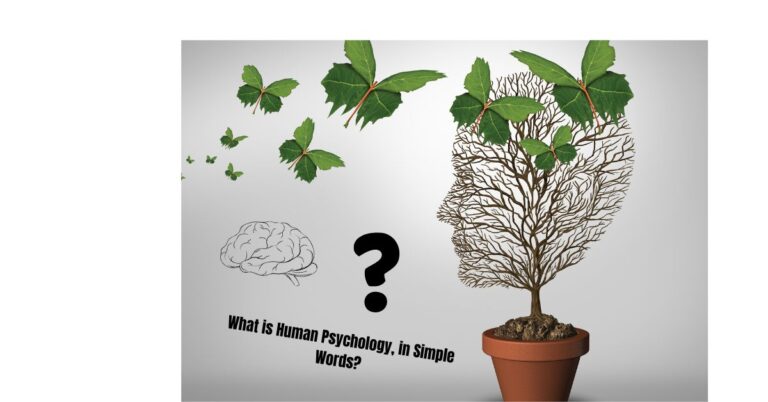 What is Human Psychology, in Simple Words?