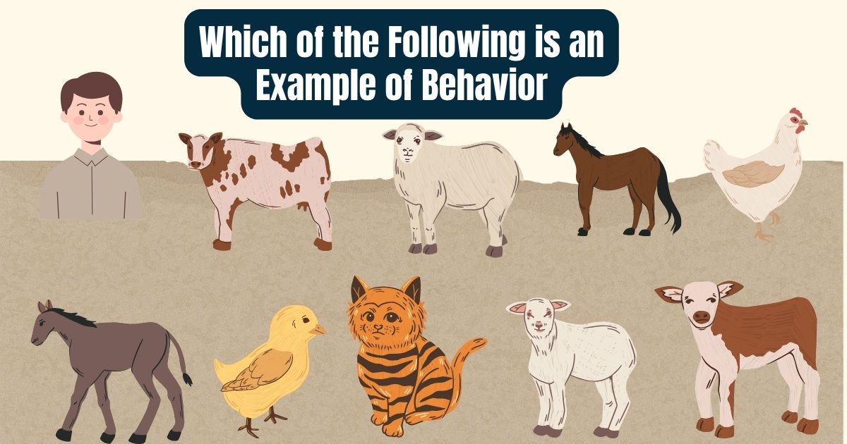 Which of the Following is an Example of Behavior