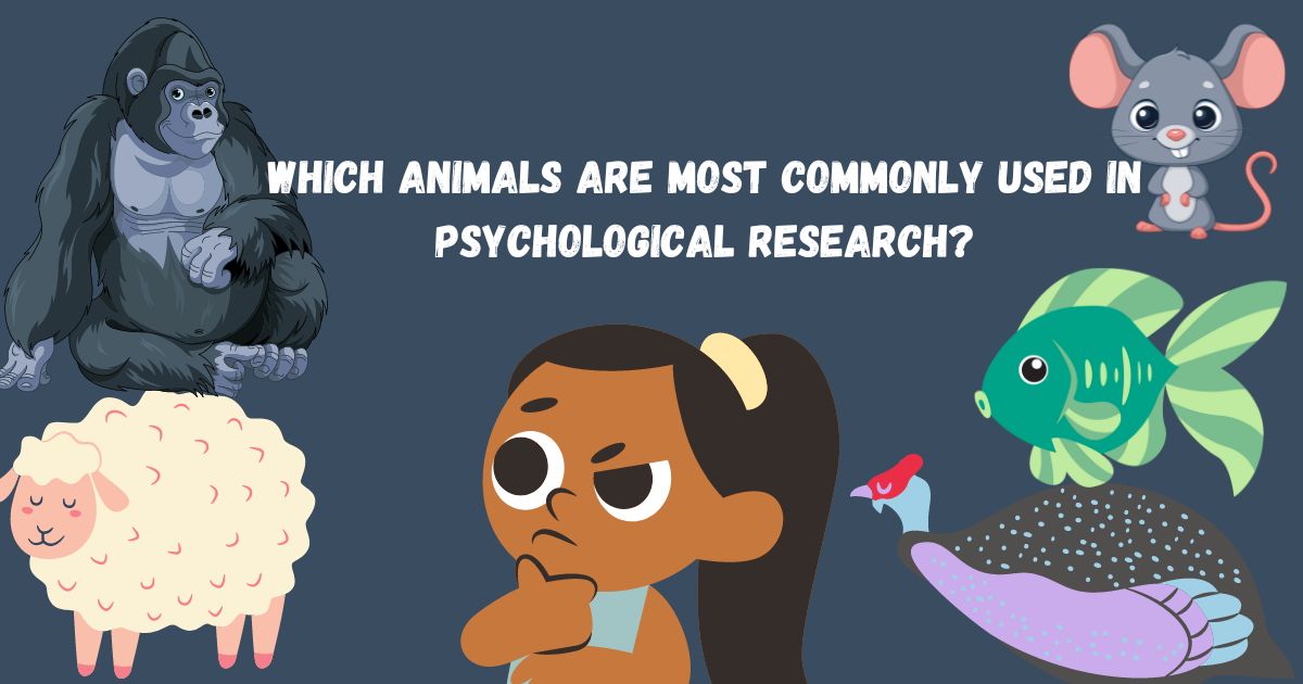 Which Animals Are Most Commonly Used in Psychological Research?