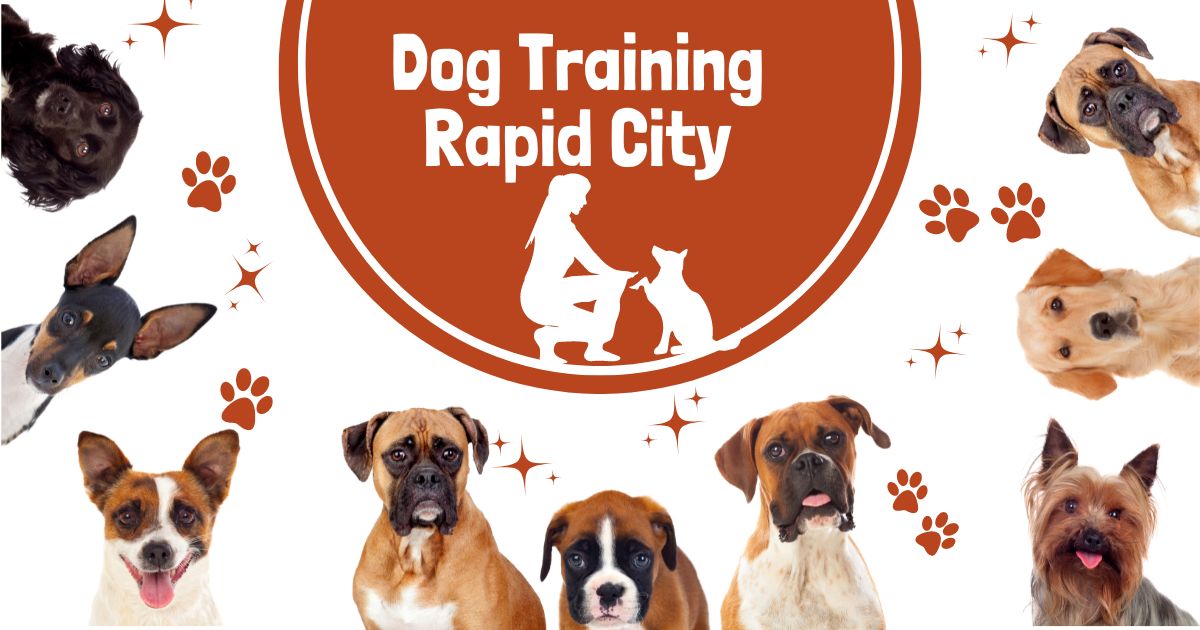 Dog Training Rapid City