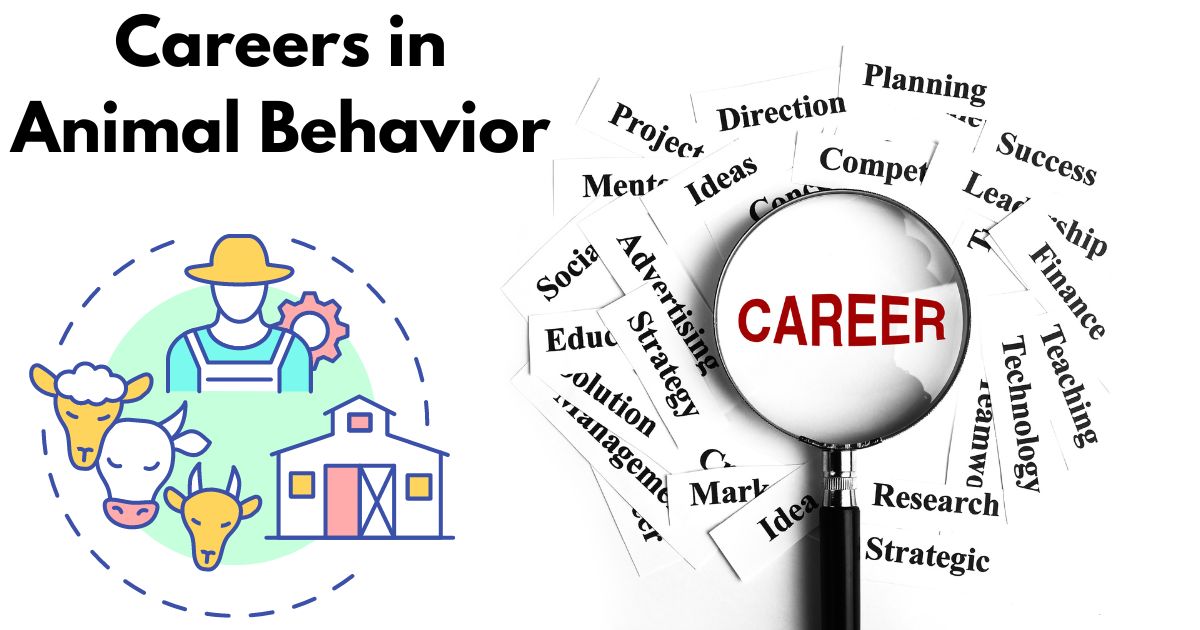 Careers in Animal Behavior