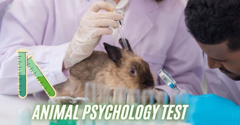 Animal Psychology Test