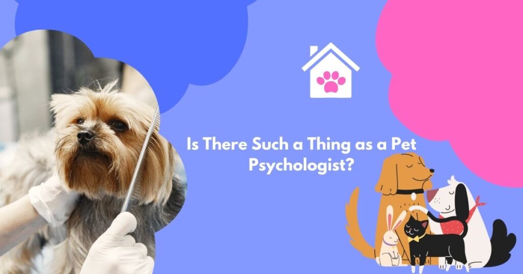 Is There Such a Thing as a Pet Psychologist?