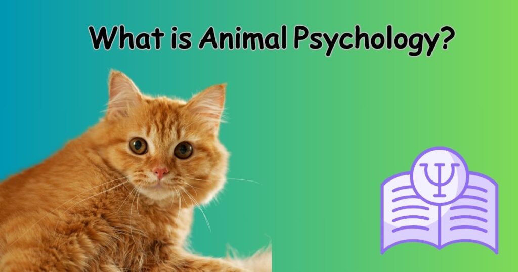 Animal Psychology Masters