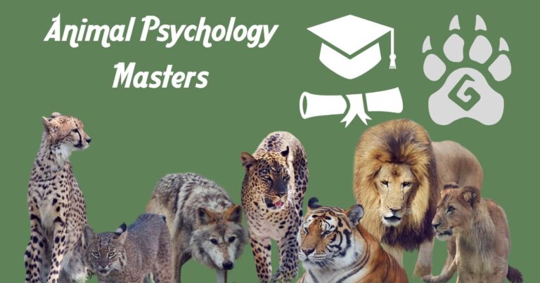 Animal Psychology Masters