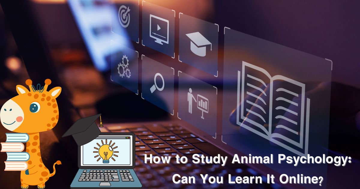 How to Study Animal Psychology: Can You Learn It Online?