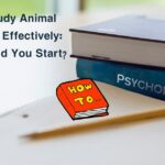 How to Study Animal Psychology Effectively: Where Should You Start?