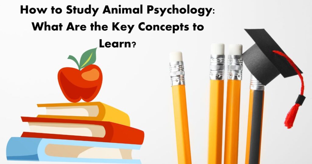 How to Study Animal Psychology: What Are the Key Concepts to Learn?