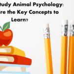 How to Study Animal Psychology: What Are the Key Concepts to Learn?