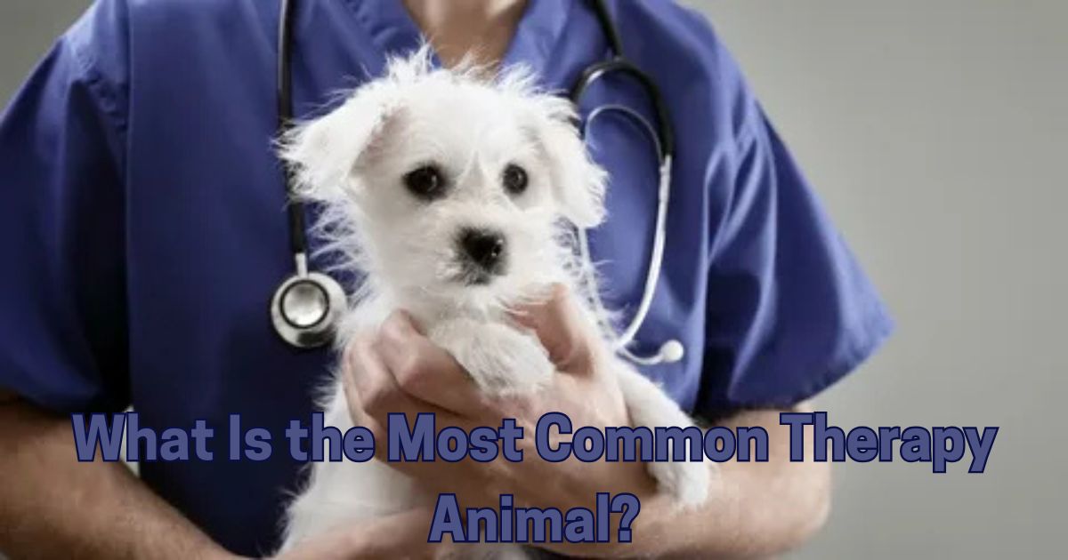 What Is the Most Common Therapy Animal?