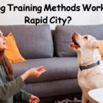 Which Dog Training Methods Work Best in Rapid City?