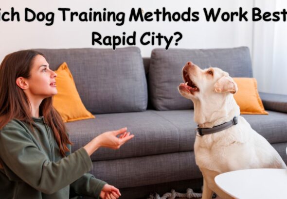 Which Dog Training Methods Work Best in Rapid City?