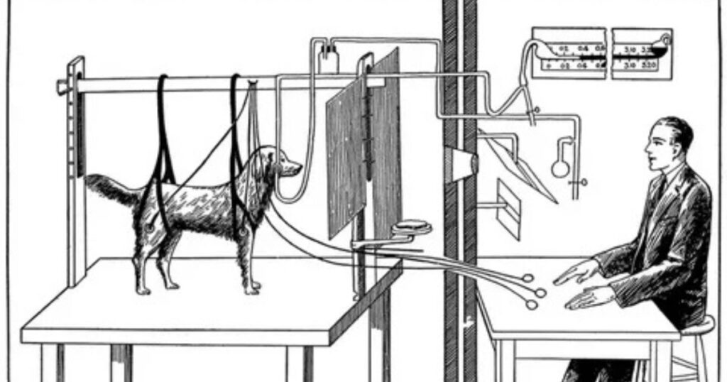 what led pavlov to shift from a study of theology to that of animal psychology