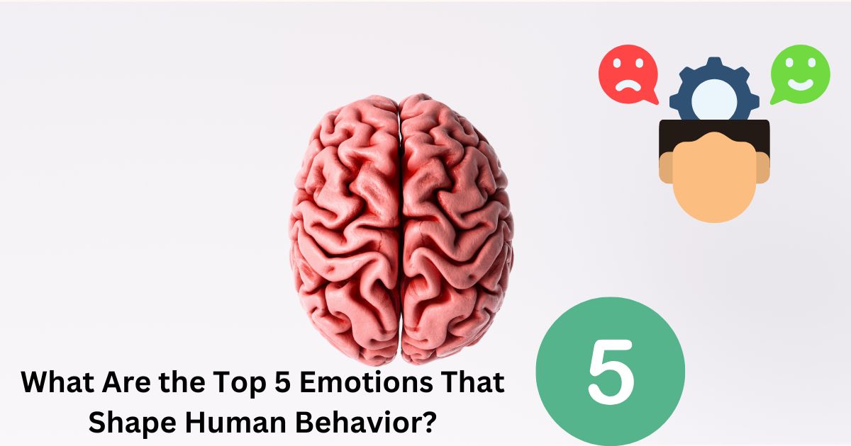 What Are the Top 5 Emotions That Shape Human Behavior?