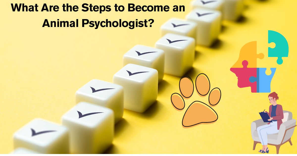 What Are the Steps to Become an Animal Psychologist?